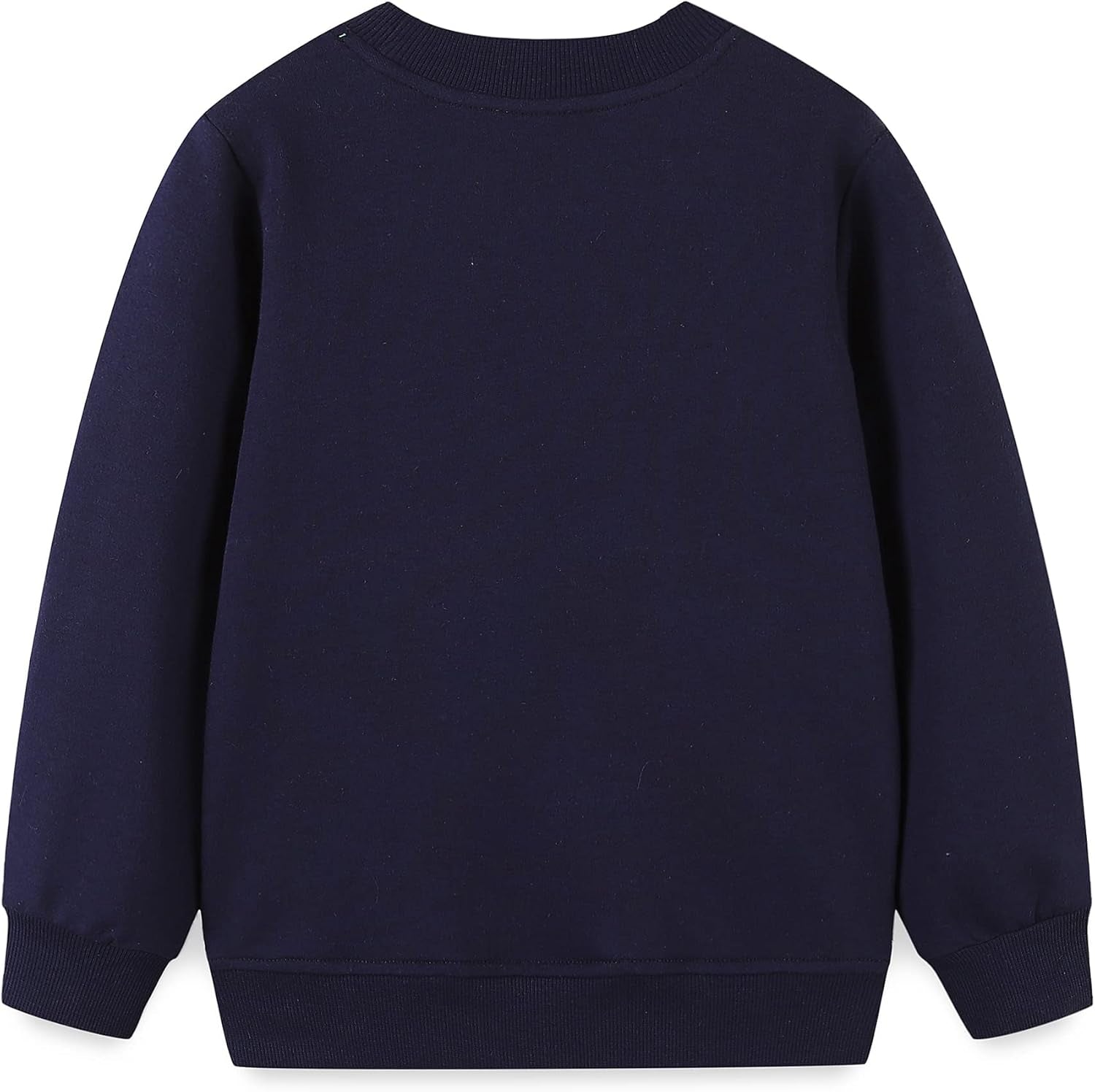 Little Boys Cotton Cute Crew Neck Long Sleeve Sweatshirt