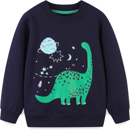 Little Boys Cotton Cute Crew Neck Long Sleeve Sweatshirt