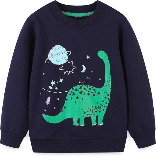 Little Boys Cotton Cute Crew Neck Long Sleeve Sweatshirt